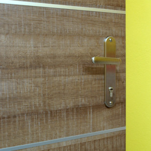 ADLO - Security door ADUO, atypical slat, entrance apartment door, door surface H1151