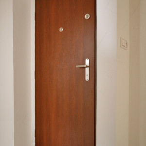 ADLO - Security door ADUO, plain design, ADLO security door guard with fitting Lara Nickel Satin