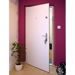 ADLO - Security door ADUO, white door surface, security door guard with fitting Lara Nikel Satin