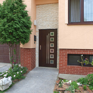 ADLO � exterior Termo door TEJEN, glass, armour-style Termo glass, anticoro slats