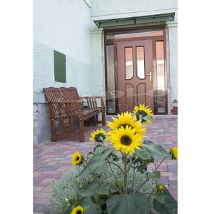 ADLO - security door TEJEN M4, glass P420 with skylights