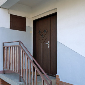 ADLO � exterior Termo double-wing door JUBEO, glass, Termo triple-pane glass P502, glass Silvit - bronze