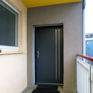 ADLO - exterior Termo door Arden, Anticor slats atypical, two-coloured