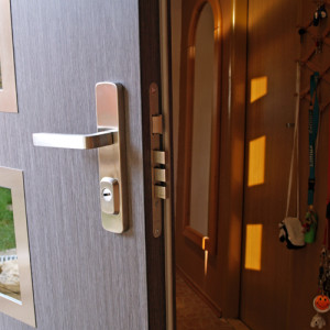 ADLO - Security door LISBEO, glass P554, door surface G-781, stainless steel slats