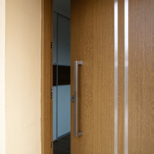 ADLO - Security door ARDEN, Termo exterior, atypical slat, Anticoro slats, vertical fitting - door pull