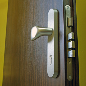 ADLO - Security door KASIM, door surface DL 42, security fitting finish Silver Elox