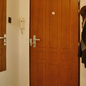 ADLO - Security door ZENEX, Profile F 321, surface Massive, security chain on the door