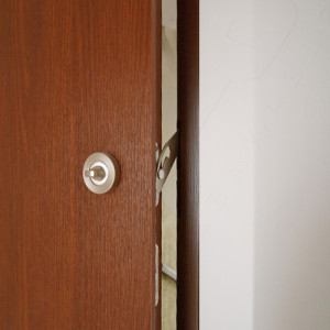 ADLO - Security door ADUO, wood decorated Drevodekor doorframe, security door guard with fitting Lara Nickel Satin