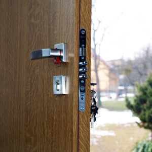 ADLO � exterior Termo door ARDEN, family house entrance door, rosette fitting