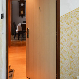 ADLO - Security door TEDUO, plain door design, sound insulation and fireproof door resistance