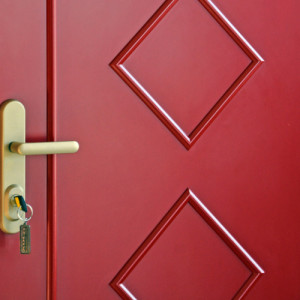 ADLO - Security door TEDUO, slat LB551, oval slat, sprayed surface Color