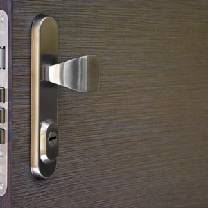 ADLO - Security door JUBEO, door surface Woodline Mocca in horizontal, security fitting Brit