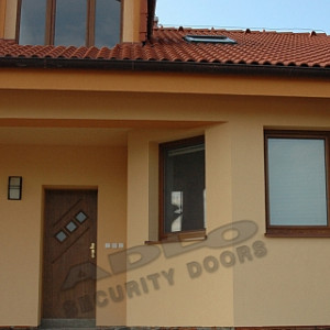 ADLO - Security door TEDUO, glass P520, surface Sprela