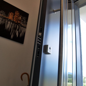 ADLO - Security Termo door Tesim, glass PS370, atypical doorknob, door surface RAL 7015