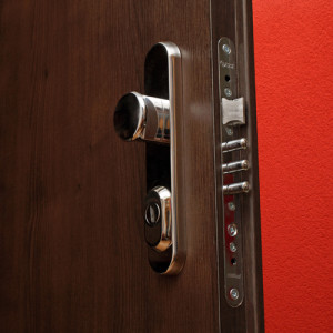 ADLO - Security door TEDUO, plain design, detail of the main lock, door surface Royal Maple