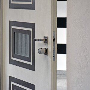 ADLO - security door ADUO, design NOBLESSE Vedeta 003, exterior Termo, biometric lock