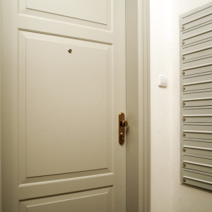 ADLO - Security door ADUO, atypical panel design, povrch RAL 6019, atypical doorframe facing