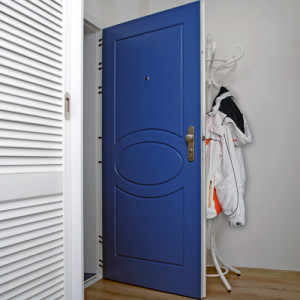 ADLO - Security door TEDUO, profile design F153 atypical, door surface RAL 5005, doorframe finish RAL 9003