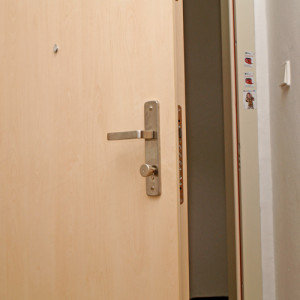 ADLO - Security door ADUO, plain design, door surface Maple, security fitting Kaba Button
