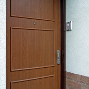 ADLO - Security Termo door TEDUO, slat LB 200, surface Geta 656, fitting Chrome-Satin - door pull