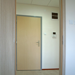 ADLO - Security door TEDUO, plain design, door surface Maple, doorframe surface Color RAL 7046