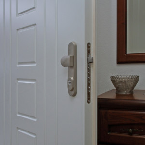 Termo triple-pane glass ADLO � exterior Termo door Tesim, entrance house door, profile, door surface Color RAL 9016