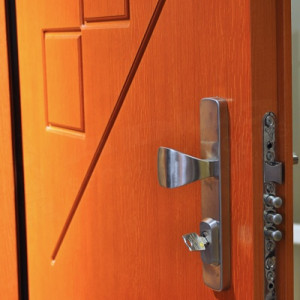 ADLO - Security Door ADUO, profile Veneer F522, doorframe facing