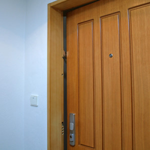 ADLO - Security door Aduo, profile design Veneer OAK, Wooden Decor doorframe, door security guard