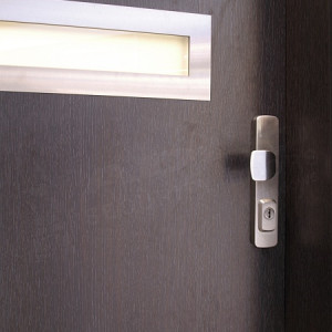 ADLO - Security Door ADUO, NOBLESSE, Gloria 003, Termo triple-pane glass, doorframe facing