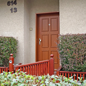 ADLO � exterior Termo door TEDUO, slat LB 350, surface Geta 656, doorframe with facing