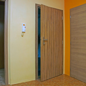 ADLO - Security door TEDUO, plain design, door surface Indian Ebony