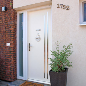 ADLO - Exterior Termo door ADUO, atypical slats, anticor slats, height 220cm, side skylight