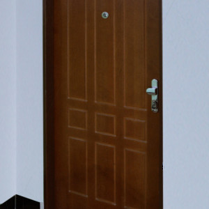 ADLO - Security door ZENEX, Profile F 321, surface natural Massive, entrance apartment door