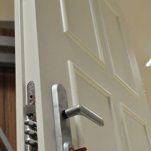 ADLO - Security Door ARDEN, slat LB 380, entrance door Termo exterior