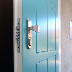 ADLO - exterior Termo door TEDUO, profile design F155, door surface RAL 6034 turqoise colour