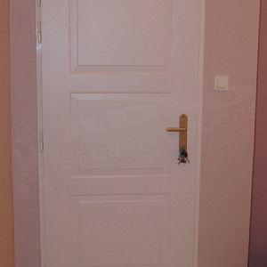 ADLO - Security Door ZENIT, panel K200, door surface sprayed RAL