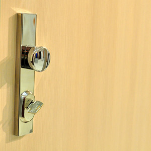 ADLO - Security Door LISBEO, surface BRE 387, line Economy, apartment entrance