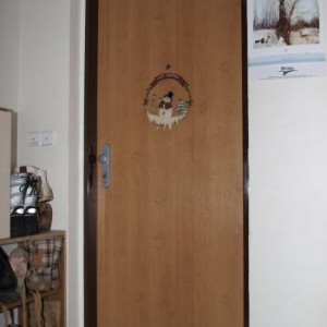 ADLO - Security door ZENIT, apartment entrance, resistance against fire and noise