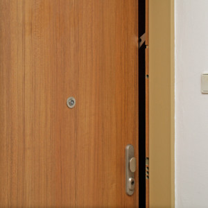 ADLO - Security door ADUO, plain design, security door guard, apartment entrance door