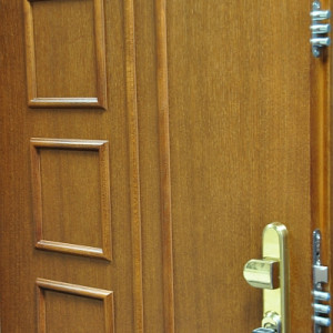 ADLO - Security Door ZENEX, slat LB 552, entrance door