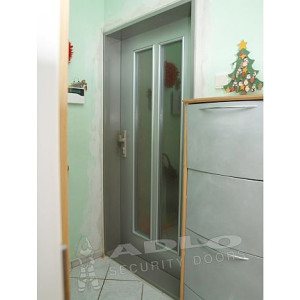 ADLO - security door TEDUO, sprayed Colour, glass P372