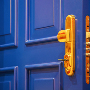 ADLO - Security door Arden, panel design KN 351, door handle - doorknob oval Titan glossy