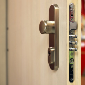 ADLO - Security door Teduo, door surface Maple, security fitting Fest Chrome Celomat