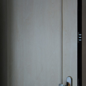 ADLO - security door ARDEN, slat LR100, Rustic slats, apartment entrance door