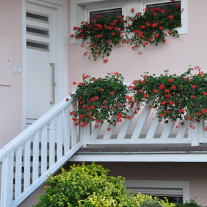 ADLO - Security Door TEDUO, NOBLESSE, Gloria 004, Termo Exterior, dimensions 225cm x 100cm