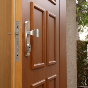 ADLO - Security Termo door TEDUO, slat LB 350, door surface with combined materials, doorframe with adhesive material