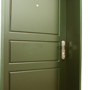 ADLO - Security door ADUO, profile design F250, door and doorframe surface Color RAL 6009