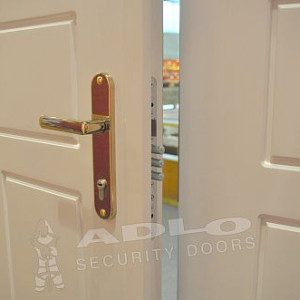 ADLO - security door ARDEN, profile Colour, detail, double-wing