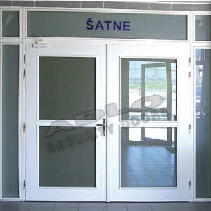 ADLO - Security door TEDUO, glass atypical, with skylights