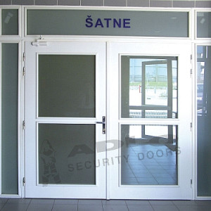 ADLO - Security door TEDUO, atypical glass, with skylights